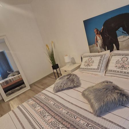 Apartament De Lux 克拉奥华 外观 照片