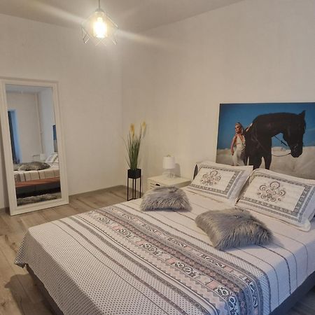 Apartament De Lux 克拉奥华 外观 照片