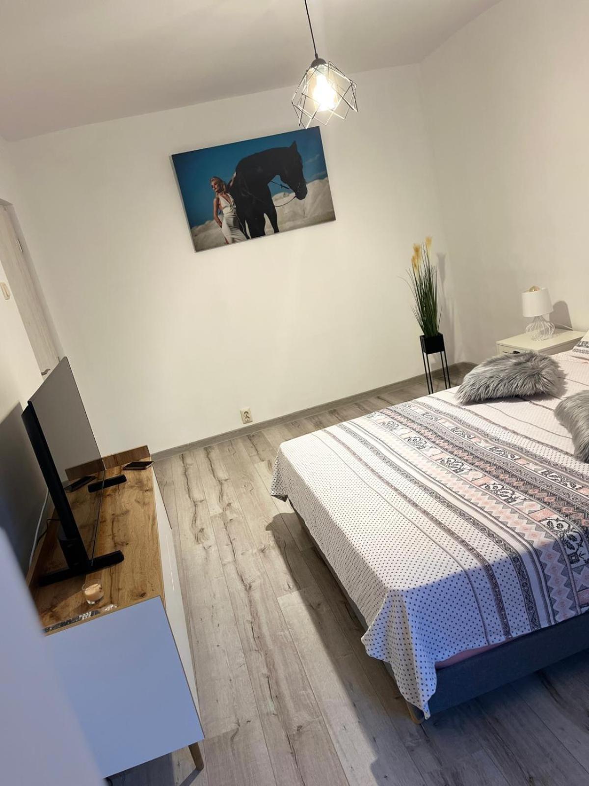 Apartament De Lux 克拉奥华 外观 照片