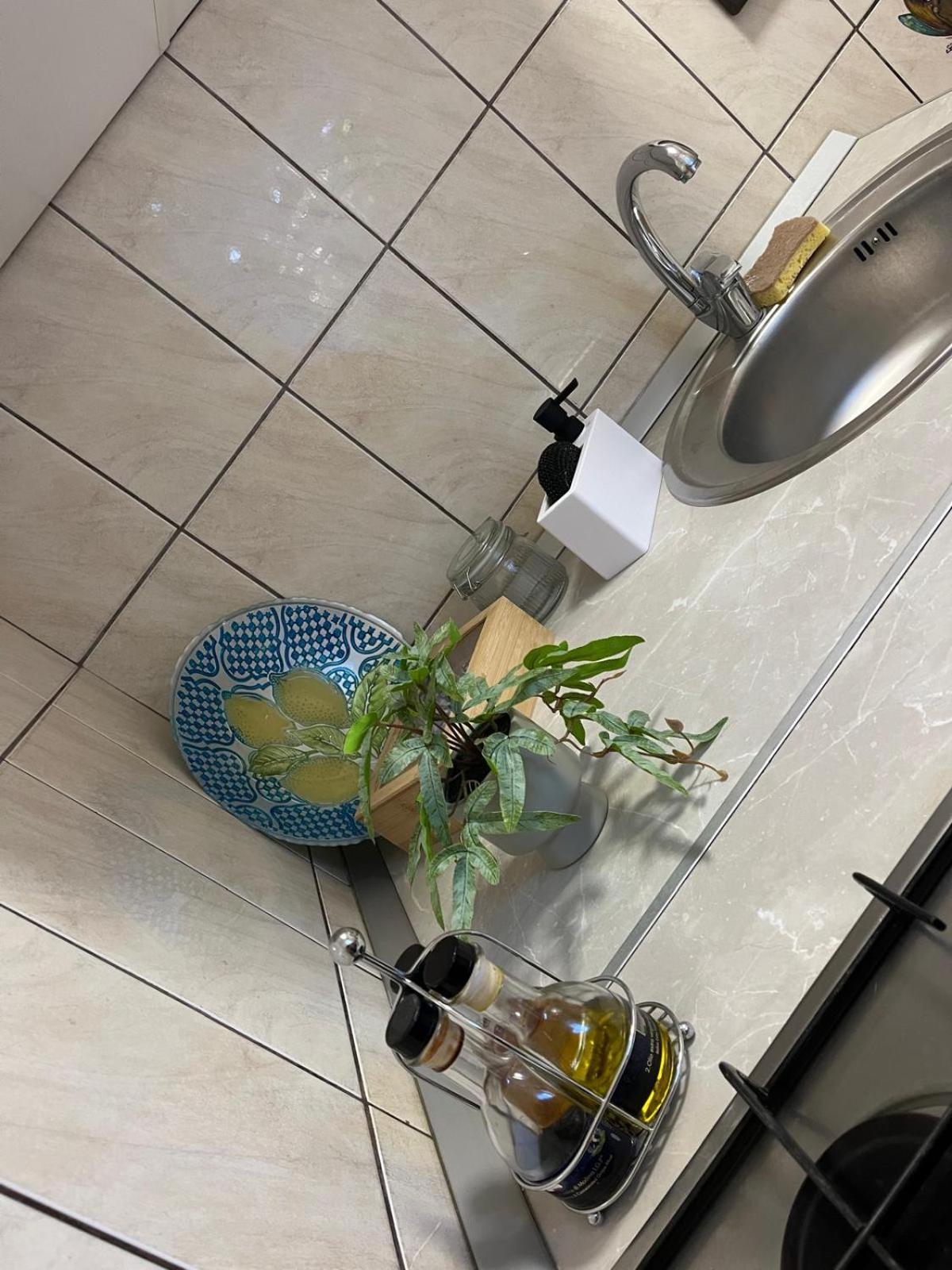 Apartament De Lux 克拉奥华 外观 照片
