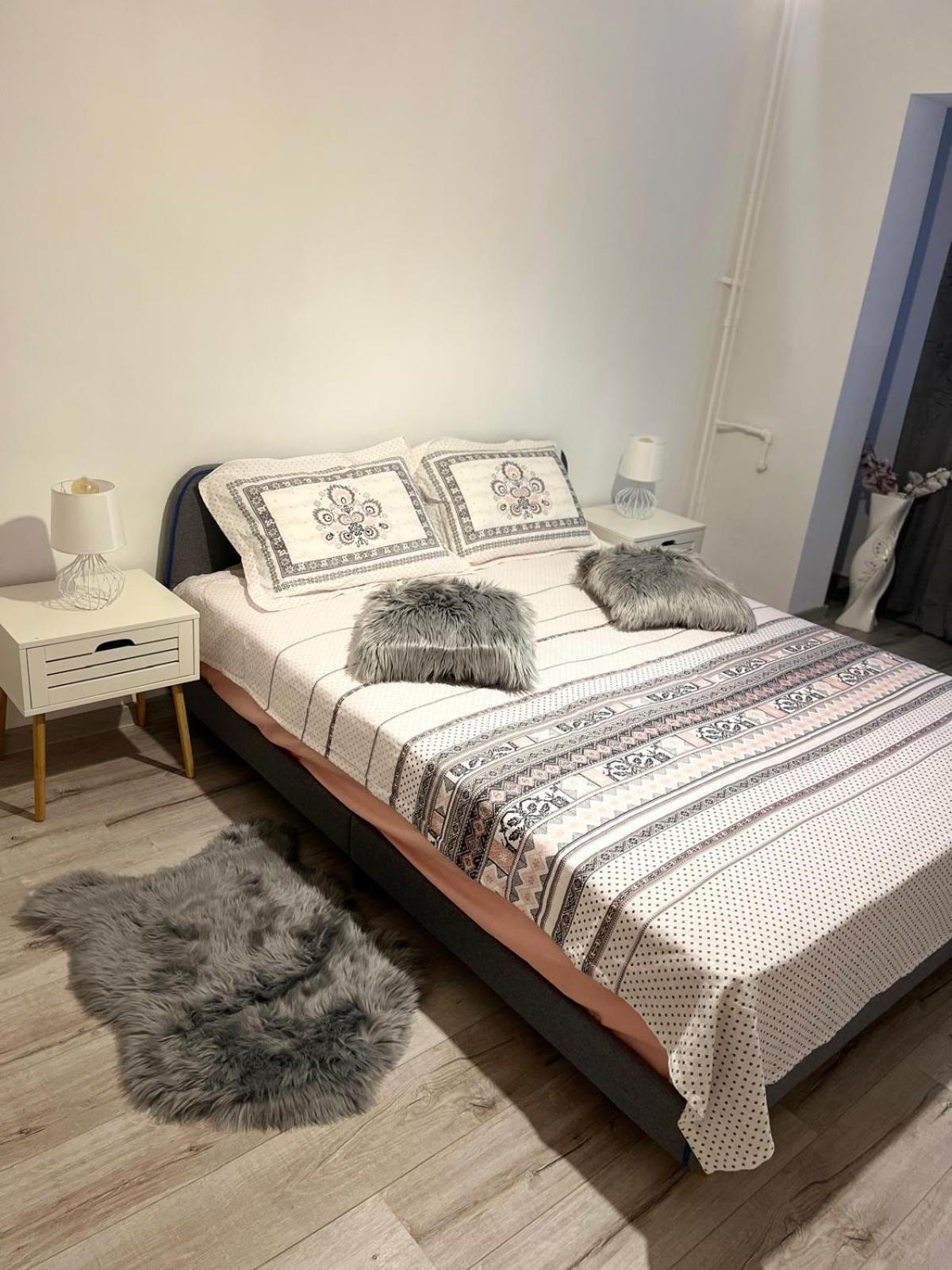 Apartament De Lux 克拉奥华 外观 照片